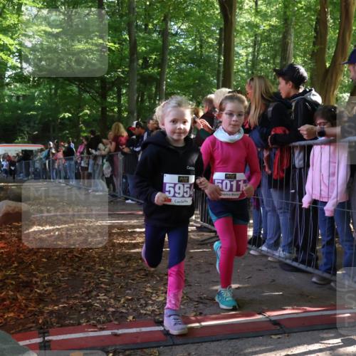 28.09.2025 - 33. Volkslauf durch das schöne Alstertal Strokosch-Dieckow http://msf.ph/oto/8960192 28.09.2025 10:48:05 Ziel 5011, 5954, 5956, 5963 meine-sportfotos.de