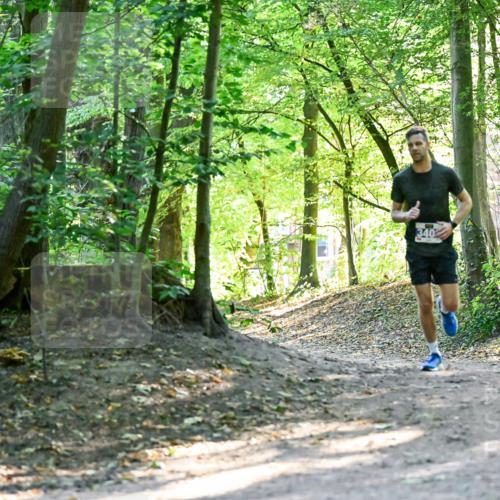 28.09.2025 - 33. Volkslauf durch das schöne Alstertal Dr. Thomas Lammeyer http://msf.ph/oto/8960194 28.09.2025 11:00:23 Laufen 340 meine-sportfotos.de