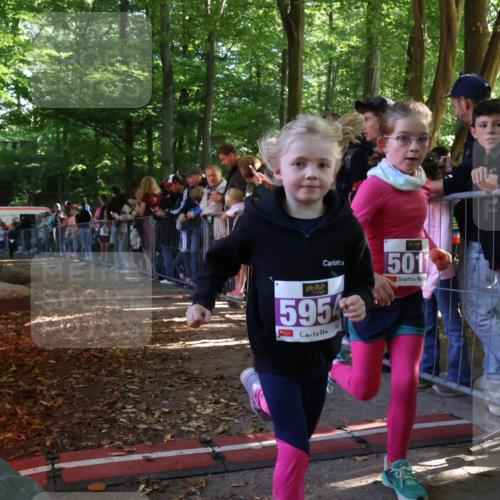 28.09.2025 - 33. Volkslauf durch das schöne Alstertal Strokosch-Dieckow http://msf.ph/oto/8960200 28.09.2025 10:48:05 Ziel 5011, 5954, 5956, 5963 meine-sportfotos.de