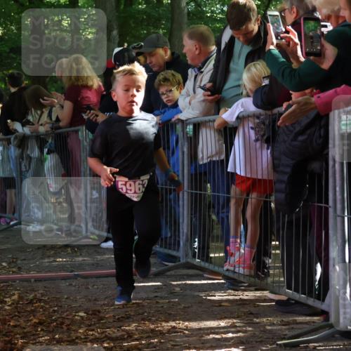 28.09.2025 - 33. Volkslauf durch das schöne Alstertal Strokosch-Dieckow http://msf.ph/oto/8960216 28.09.2025 10:48:10 Ziel 5956, 5963 meine-sportfotos.de