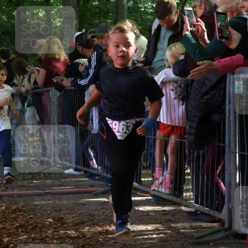 28.09.2025 - 33. Volkslauf durch das schöne Alstertal Strokosch-Dieckow http://msf.ph/oto/8960223 28.09.2025 10:48:10 Ziel 5956, 5963 meine-sportfotos.de