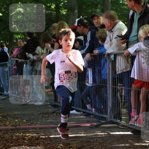 28.09.2025 - 33. Volkslauf durch das schöne Alstertal Strokosch-Dieckow http://msf.ph/oto/8960227 28.09.2025 10:48:11 Ziel 5956, 5963 meine-sportfotos.de