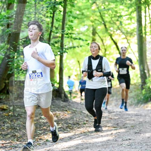28.09.2025 - 33. Volkslauf durch das schöne Alstertal Dr. Thomas Lammeyer http://msf.ph/oto/8960231 28.09.2025 11:00:50 Laufen 3925 meine-sportfotos.de