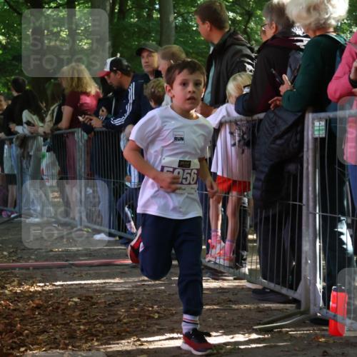28.09.2025 - 33. Volkslauf durch das schöne Alstertal Strokosch-Dieckow http://msf.ph/oto/8960234 28.09.2025 10:48:12 Ziel 5956 meine-sportfotos.de