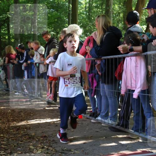 28.09.2025 - 33. Volkslauf durch das schöne Alstertal Strokosch-Dieckow http://msf.ph/oto/8960240 28.09.2025 10:48:12 Ziel 5956 meine-sportfotos.de