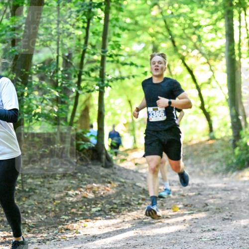 28.09.2025 - 33. Volkslauf durch das schöne Alstertal Dr. Thomas Lammeyer http://msf.ph/oto/8960243 28.09.2025 11:00:51 Laufen 3366 meine-sportfotos.de