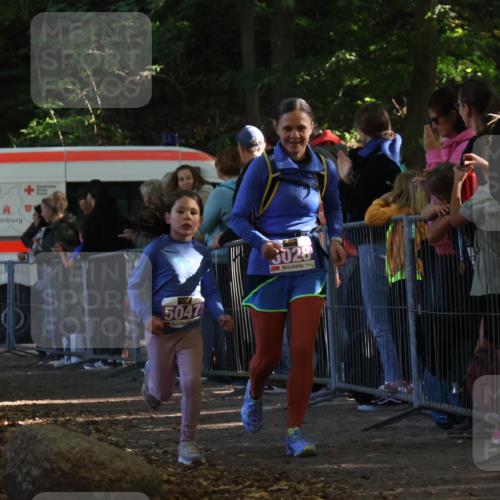 28.09.2025 - 33. Volkslauf durch das schöne Alstertal Strokosch-Dieckow http://msf.ph/oto/8960251 28.09.2025 10:48:19 Ziel 5023, 5028, 5047 meine-sportfotos.de
