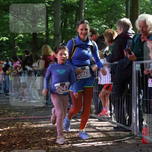 28.09.2025 - 33. Volkslauf durch das schöne Alstertal Strokosch-Dieckow http://msf.ph/oto/8960270 28.09.2025 10:48:22 Ziel 5023, 5028, 5047 meine-sportfotos.de