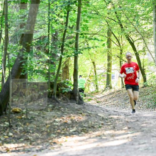 28.09.2025 - 33. Volkslauf durch das schöne Alstertal Dr. Thomas Lammeyer http://msf.ph/oto/8960273 28.09.2025 11:01:13 Laufen  meine-sportfotos.de