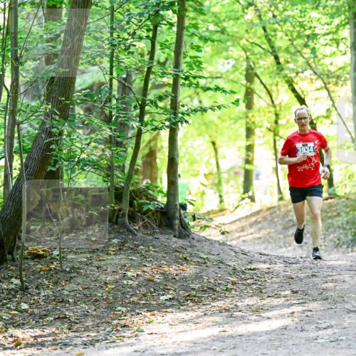 28.09.2025 - 33. Volkslauf durch das schöne Alstertal Dr. Thomas Lammeyer http://msf.ph/oto/8960275 28.09.2025 11:01:14 Laufen  meine-sportfotos.de