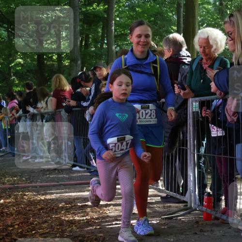 28.09.2025 - 33. Volkslauf durch das schöne Alstertal Strokosch-Dieckow http://msf.ph/oto/8960277 28.09.2025 10:48:22 Ziel 5023, 5028, 5047 meine-sportfotos.de
