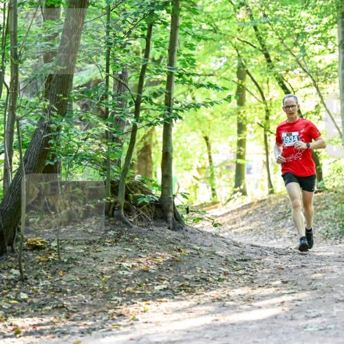 28.09.2025 - 33. Volkslauf durch das schöne Alstertal Dr. Thomas Lammeyer http://msf.ph/oto/8960278 28.09.2025 11:01:14 Laufen 3934 meine-sportfotos.de