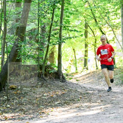 28.09.2025 - 33. Volkslauf durch das schöne Alstertal Dr. Thomas Lammeyer http://msf.ph/oto/8960279 28.09.2025 11:01:14 Laufen 3934 meine-sportfotos.de