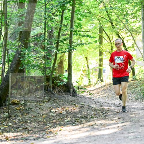 28.09.2025 - 33. Volkslauf durch das schöne Alstertal Dr. Thomas Lammeyer http://msf.ph/oto/8960281 28.09.2025 11:01:14 Laufen 3934 meine-sportfotos.de