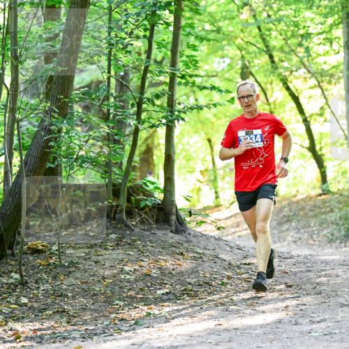 28.09.2025 - 33. Volkslauf durch das schöne Alstertal Dr. Thomas Lammeyer http://msf.ph/oto/8960287 28.09.2025 11:01:15 Laufen 3034 meine-sportfotos.de