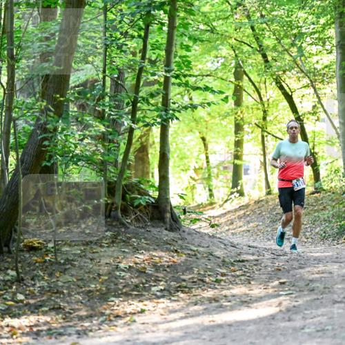 28.09.2025 - 33. Volkslauf durch das schöne Alstertal Dr. Thomas Lammeyer http://msf.ph/oto/8960296 28.09.2025 11:01:59 Laufen  meine-sportfotos.de