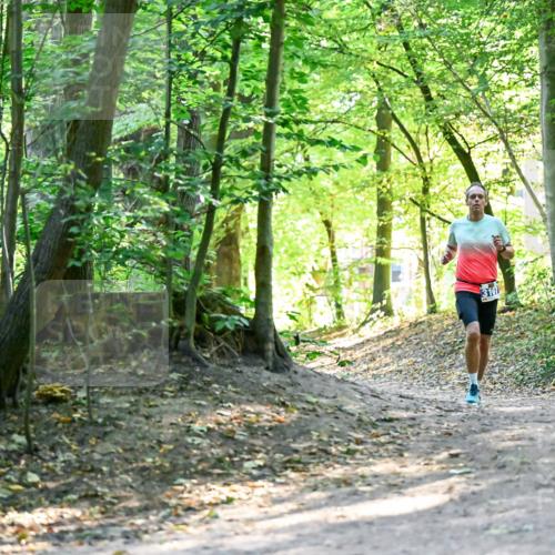 28.09.2025 - 33. Volkslauf durch das schöne Alstertal Dr. Thomas Lammeyer http://msf.ph/oto/8960297 28.09.2025 11:01:59 Laufen 3107 meine-sportfotos.de
