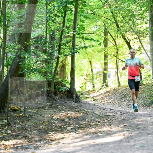 28.09.2025 - 33. Volkslauf durch das schöne Alstertal Dr. Thomas Lammeyer http://msf.ph/oto/8960298 28.09.2025 11:01:59 Laufen  meine-sportfotos.de