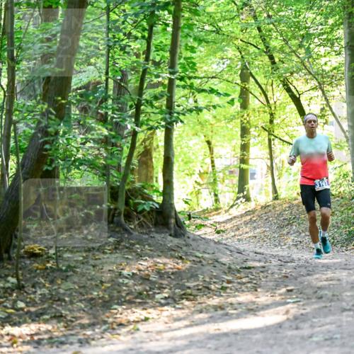 28.09.2025 - 33. Volkslauf durch das schöne Alstertal Dr. Thomas Lammeyer http://msf.ph/oto/8960300 28.09.2025 11:01:59 Laufen  meine-sportfotos.de