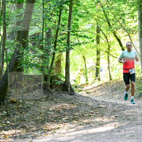 28.09.2025 - 33. Volkslauf durch das schöne Alstertal Dr. Thomas Lammeyer http://msf.ph/oto/8960302 28.09.2025 11:02:00 Laufen 3107 meine-sportfotos.de