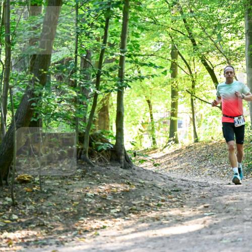 28.09.2025 - 33. Volkslauf durch das schöne Alstertal Dr. Thomas Lammeyer http://msf.ph/oto/8960304 28.09.2025 11:02:00 Laufen  meine-sportfotos.de
