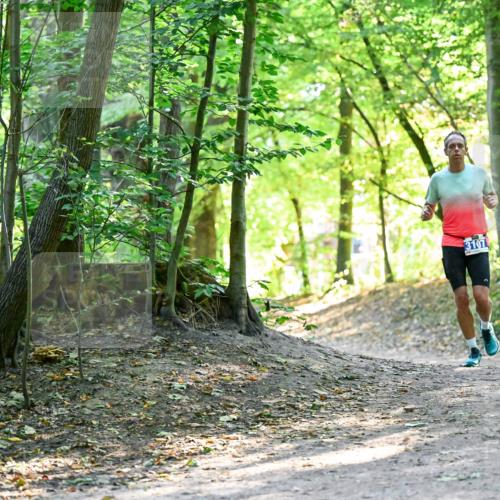 28.09.2025 - 33. Volkslauf durch das schöne Alstertal Dr. Thomas Lammeyer http://msf.ph/oto/8960306 28.09.2025 11:02:00 Laufen 3107 meine-sportfotos.de