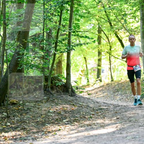 28.09.2025 - 33. Volkslauf durch das schöne Alstertal Dr. Thomas Lammeyer http://msf.ph/oto/8960307 28.09.2025 11:02:00 Laufen 3107 meine-sportfotos.de