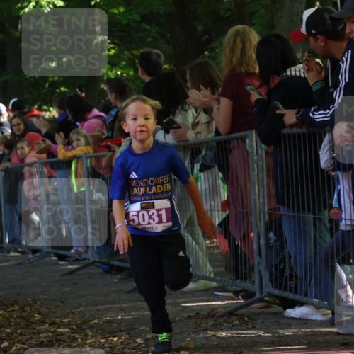 28.09.2025 - 33. Volkslauf durch das schöne Alstertal Strokosch-Dieckow http://msf.ph/oto/8960316 28.09.2025 10:48:39 Ziel 5031, 5967 meine-sportfotos.de