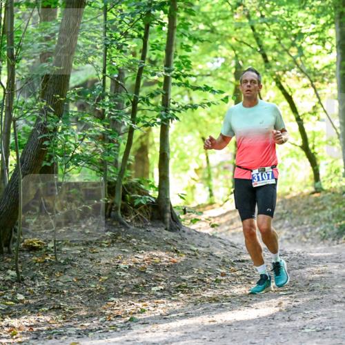 28.09.2025 - 33. Volkslauf durch das schöne Alstertal Dr. Thomas Lammeyer http://msf.ph/oto/8960318 28.09.2025 11:02:01 Laufen 3107 meine-sportfotos.de