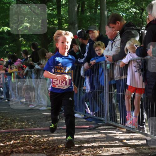 28.09.2025 - 33. Volkslauf durch das schöne Alstertal Strokosch-Dieckow http://msf.ph/oto/8960323 28.09.2025 10:48:40 Ziel 5031, 5036, 5967 meine-sportfotos.de