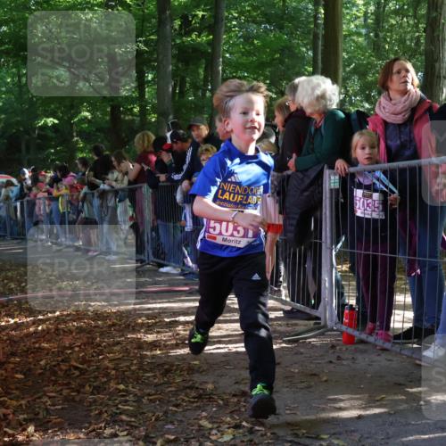 28.09.2025 - 33. Volkslauf durch das schöne Alstertal Strokosch-Dieckow http://msf.ph/oto/8960329 28.09.2025 10:48:41 Ziel 5031, 5036, 5967 meine-sportfotos.de