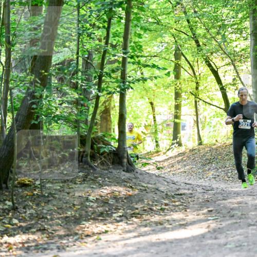 28.09.2025 - 33. Volkslauf durch das schöne Alstertal Dr. Thomas Lammeyer http://msf.ph/oto/8960330 28.09.2025 11:02:13 Laufen 3933, 3921 meine-sportfotos.de