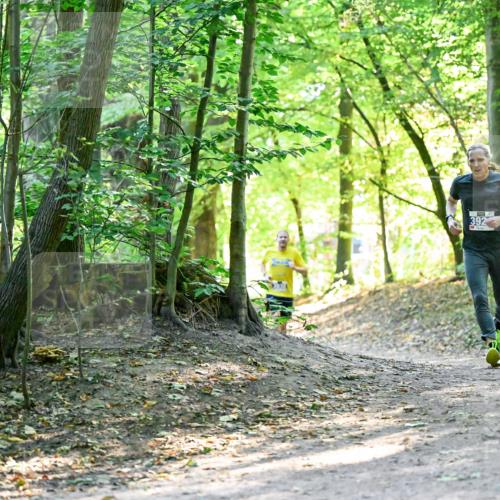 28.09.2025 - 33. Volkslauf durch das schöne Alstertal Dr. Thomas Lammeyer http://msf.ph/oto/8960335 28.09.2025 11:02:13 Laufen 392 meine-sportfotos.de