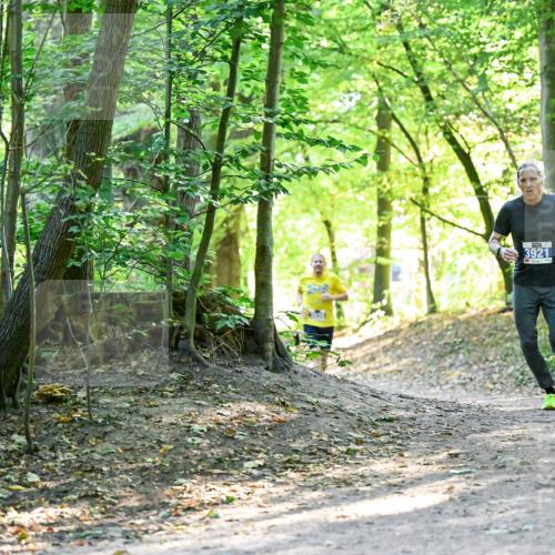 28.09.2025 - 33. Volkslauf durch das schöne Alstertal Dr. Thomas Lammeyer http://msf.ph/oto/8960336 28.09.2025 11:02:13 Laufen 3921 meine-sportfotos.de