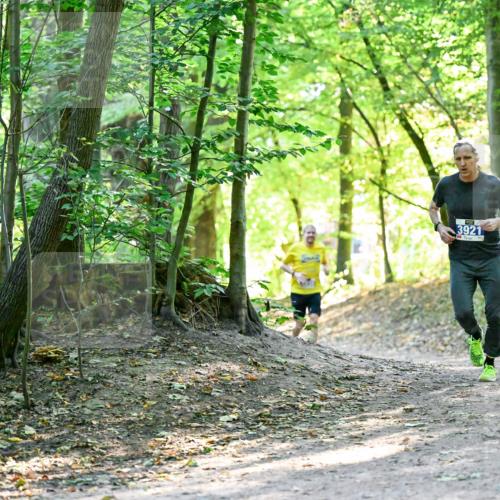 28.09.2025 - 33. Volkslauf durch das schöne Alstertal Dr. Thomas Lammeyer http://msf.ph/oto/8960339 28.09.2025 11:02:14 Laufen 3921 meine-sportfotos.de