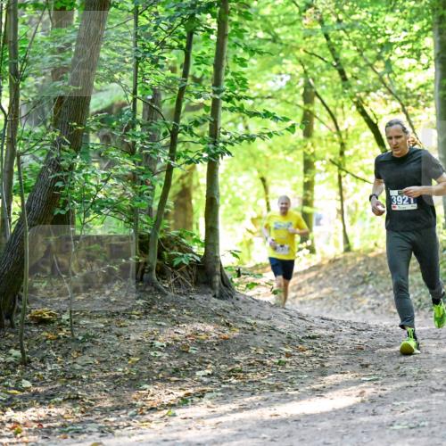 28.09.2025 - 33. Volkslauf durch das schöne Alstertal Dr. Thomas Lammeyer http://msf.ph/oto/8960341 28.09.2025 11:02:14 Laufen 3921 meine-sportfotos.de