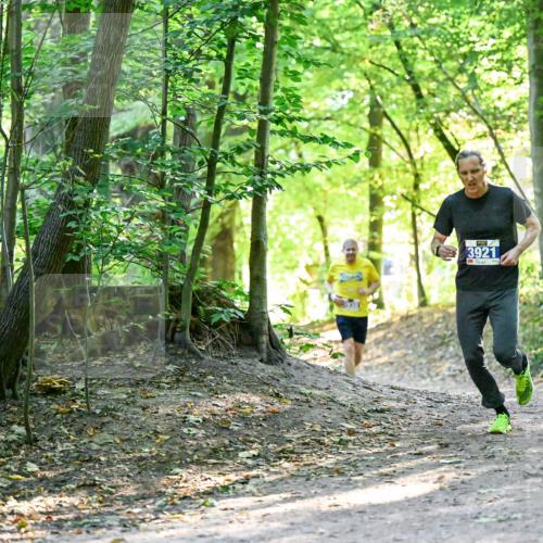 28.09.2025 - 33. Volkslauf durch das schöne Alstertal Dr. Thomas Lammeyer http://msf.ph/oto/8960342 28.09.2025 11:02:14 Laufen 3921 meine-sportfotos.de