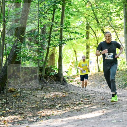 28.09.2025 - 33. Volkslauf durch das schöne Alstertal Dr. Thomas Lammeyer http://msf.ph/oto/8960343 28.09.2025 11:02:14 Laufen 3921 meine-sportfotos.de