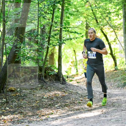 28.09.2025 - 33. Volkslauf durch das schöne Alstertal Dr. Thomas Lammeyer http://msf.ph/oto/8960346 28.09.2025 11:02:15 Laufen 3921 meine-sportfotos.de