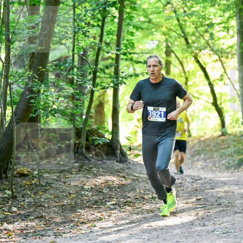28.09.2025 - 33. Volkslauf durch das schöne Alstertal Dr. Thomas Lammeyer http://msf.ph/oto/8960348 28.09.2025 11:02:15 Laufen 3921 meine-sportfotos.de