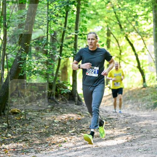 28.09.2025 - 33. Volkslauf durch das schöne Alstertal Dr. Thomas Lammeyer http://msf.ph/oto/8960349 28.09.2025 11:02:15 Laufen 3921 meine-sportfotos.de