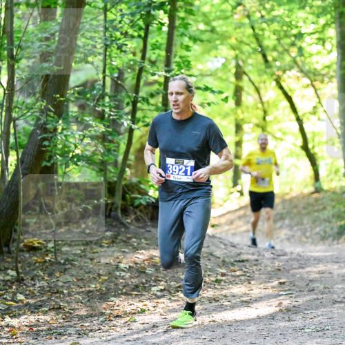 28.09.2025 - 33. Volkslauf durch das schöne Alstertal Dr. Thomas Lammeyer http://msf.ph/oto/8960350 28.09.2025 11:02:15 Laufen 3921 meine-sportfotos.de