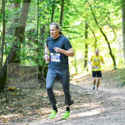 28.09.2025 - 33. Volkslauf durch das schöne Alstertal Dr. Thomas Lammeyer http://msf.ph/oto/8960351 28.09.2025 11:02:15 Laufen 3921 meine-sportfotos.de
