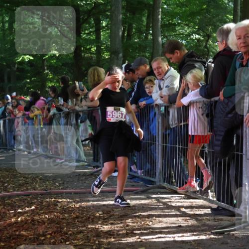 28.09.2025 - 33. Volkslauf durch das schöne Alstertal Strokosch-Dieckow http://msf.ph/oto/8960352 28.09.2025 10:48:45 Ziel 5036, 5967 meine-sportfotos.de