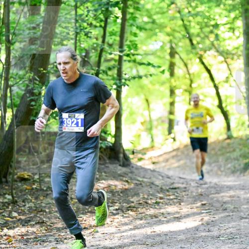 28.09.2025 - 33. Volkslauf durch das schöne Alstertal Dr. Thomas Lammeyer http://msf.ph/oto/8960354 28.09.2025 11:02:15 Laufen 3921 meine-sportfotos.de