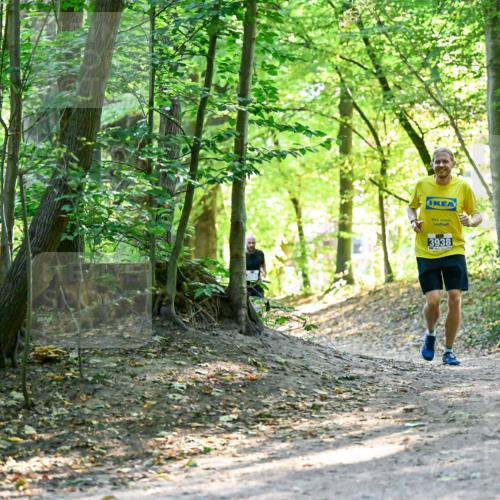 28.09.2025 - 33. Volkslauf durch das schöne Alstertal Dr. Thomas Lammeyer http://msf.ph/oto/8960355 28.09.2025 11:02:17 Laufen 3938 meine-sportfotos.de
