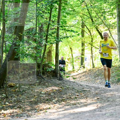 28.09.2025 - 33. Volkslauf durch das schöne Alstertal Dr. Thomas Lammeyer http://msf.ph/oto/8960356 28.09.2025 11:02:17 Laufen 3938 meine-sportfotos.de