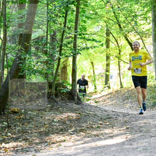28.09.2025 - 33. Volkslauf durch das schöne Alstertal Dr. Thomas Lammeyer http://msf.ph/oto/8960358 28.09.2025 11:02:17 Laufen 3938 meine-sportfotos.de
