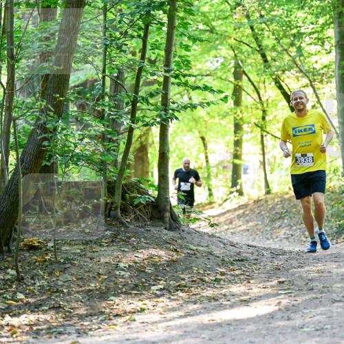 28.09.2025 - 33. Volkslauf durch das schöne Alstertal Dr. Thomas Lammeyer http://msf.ph/oto/8960359 28.09.2025 11:02:17 Laufen 3938 meine-sportfotos.de