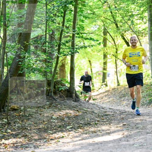 28.09.2025 - 33. Volkslauf durch das schöne Alstertal Dr. Thomas Lammeyer http://msf.ph/oto/8960361 28.09.2025 11:02:17 Laufen 3938 meine-sportfotos.de